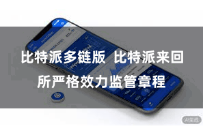 比特派多链版  比特派来回所严格效力监管章程
