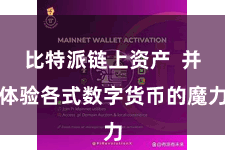 比特派链上资产  并体验各式数字货币的魔力