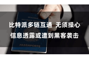 比特派多链互通  无须操心信息透露或遭到黑客袭击