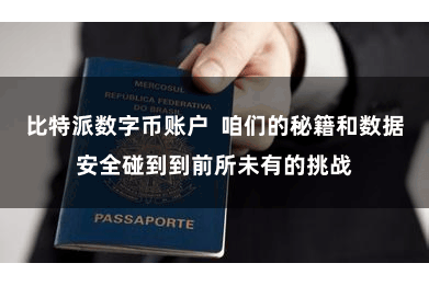 比特派数字币账户  咱们的秘籍和数据安全碰到到前所未有的挑战