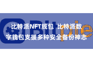 比特派NFT钱包  比特派数字钱包支援多种安全备份神志