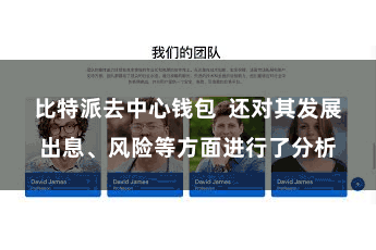 比特派去中心钱包  还对其发展出息、风险等方面进行了分析