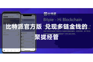 比特派官方版 兑现多链金钱的聚拢经管